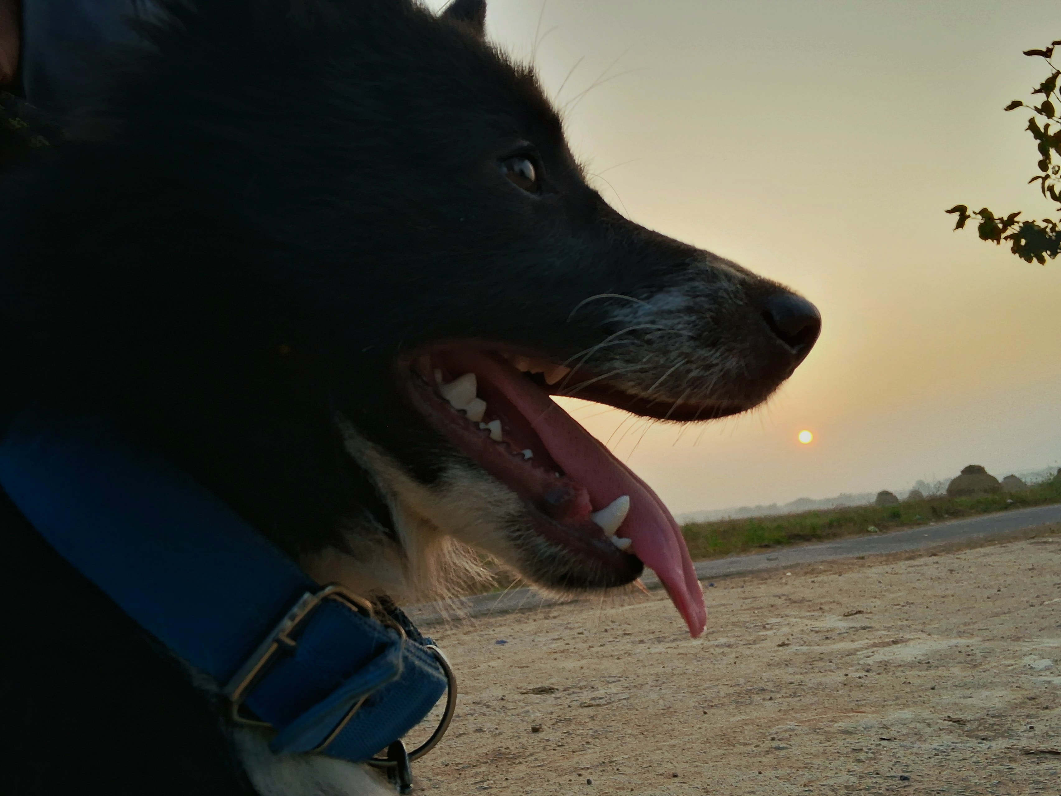 IMG 20240131 110556 915