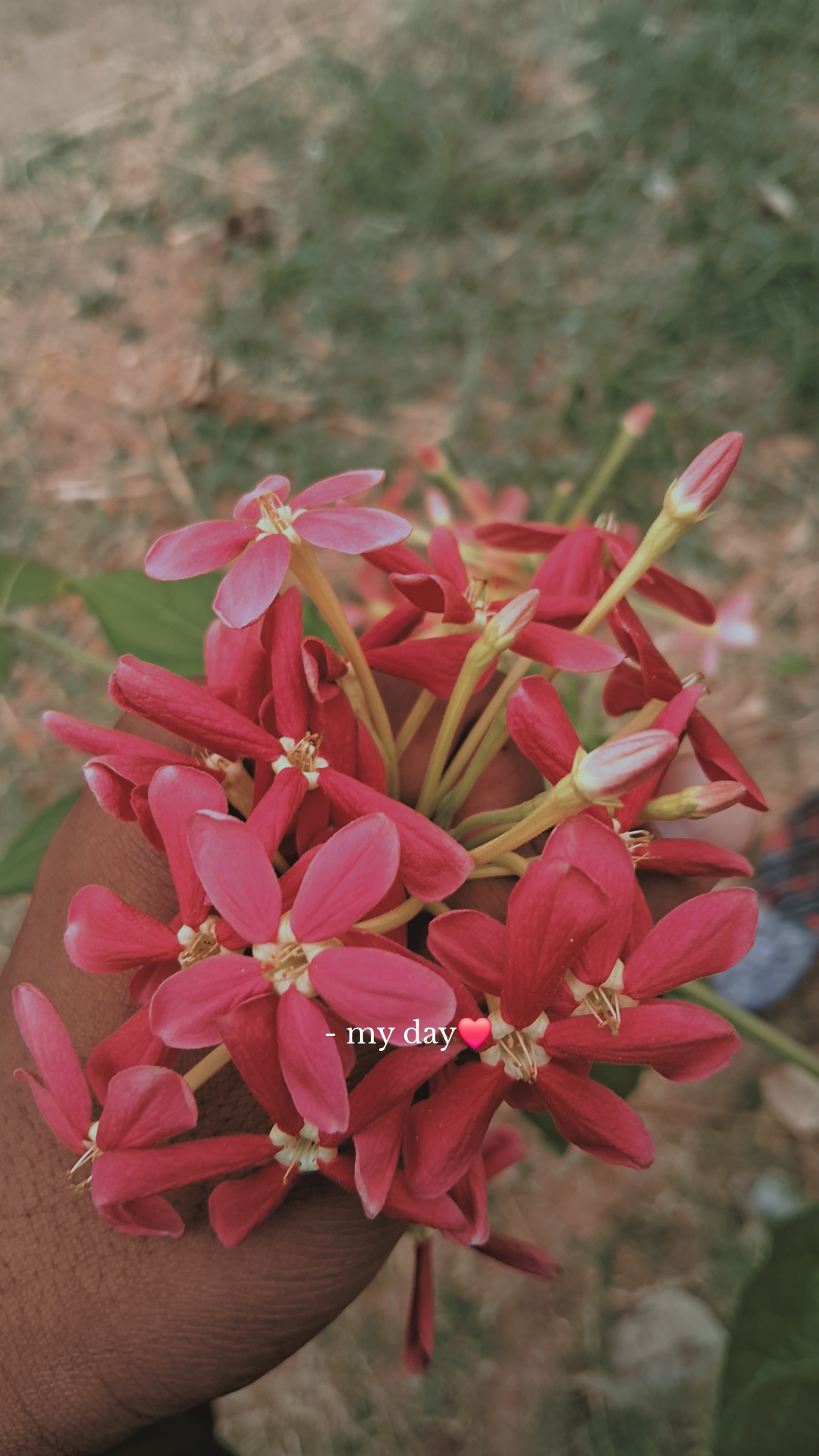 A Small Frame From an Easy Day